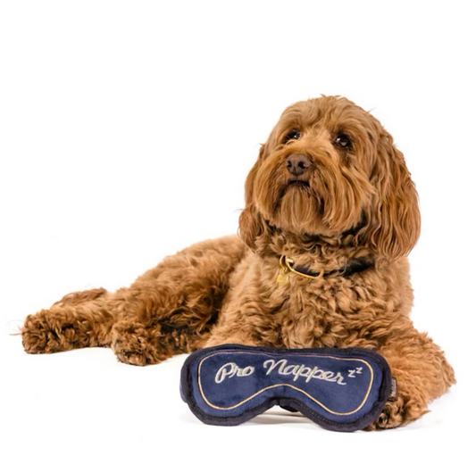 Pro Napper Mask Dog Toy